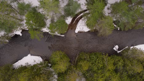 Birdseye-drone-shot-flying-over-Winter-river-lined-with-pine-trees-and-snow-on-the-ground