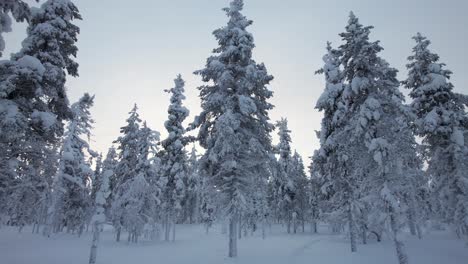 Drone-Slowly-Explores-Snowy-Winter-Wonderland-in-Lapland,-Finland,-Arctic-Circle