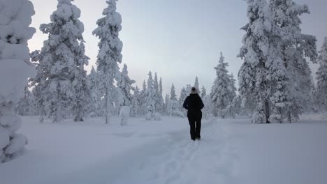 Girl-Walking,-Exploring-Scenery-In-Snowy-Forest-In-Lapland,-Finland,-Arctic-Circle