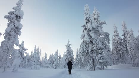 Mujer-Joven-Explorando-Paisajes-En-Bosques-Nevados-En-Laponia,-Finlandia,-Círculo-Polar-ártico.