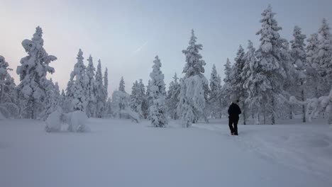 Girl-Strolling,-Exploring-Scenery-In-Snowy-Forest-In-Lapland,-Finland,-Arctic-Circle