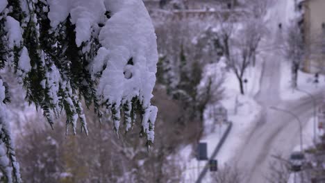 Schneebedeckter-Baum-Mit-Den-Straßen-Im-Hintergrund,-Guardiagrele,-Abruzzen,-Italien