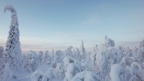 Winterwunderlandschaft-Mit-Riesigen-Schneebedeckten-Bäumen-In-Lappland,-Finnland,-Polarkreis