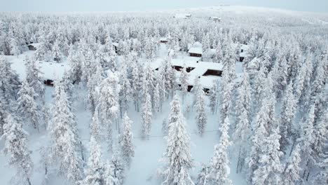 Drone-Flys-Over-Cabins-Surrounded-by-Snowy-Forest-n-Lapland,-Finland,-Arctic-Circle