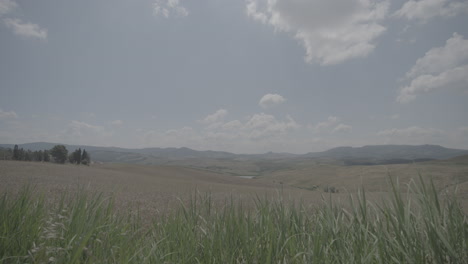 Aufnahme-Goldener-Bauernfelder-In-Der-Landschaft-Der-Toskana,-Italien,-An-Einem-Sonnigen-Tag-Mit-Blauem-Himmel-Und-Wolken-Am-Horizont,-Mit-Trockenem-Pflanzengras-Im-Vordergrund,-Das-Sich-In-Zeitlupe-Bewegt
