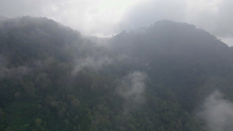 Drone-Vuela-A-Través-De-La-Niebla-Sobre-El-Bosque-De-Montaña