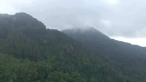 Aerial-view-of-mountain-range-overgrown-by-dense-trees-of-rainforest-in-misty-morning