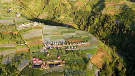 Fly-over-large-vegetable-plantation-on-the-slope-of-mountain-with-resort-building