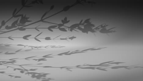 Plant-leaf-shadow-on-dark-grey-corner-wall-gently-move-from-breeze-wind-rendering-animation