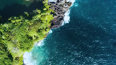 Vista-De-Arriba-Hacia-Abajo-A-Lo-Largo-De-Una-Exuberante-Vegetación-Con-Agua-Turquesa-Del-Estanque-Waioka,-Hawai