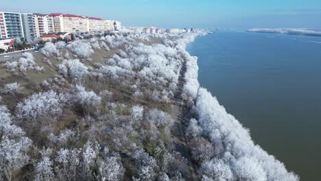 Frosted-Forest-By-The-River-Of-Danube-In-Galati-City,-Romania