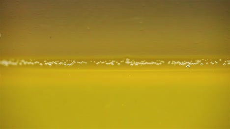 Yellow-bubbles-in-liquid-settle-along-edge-in-mesmerizing-macro-rack-focus-effect