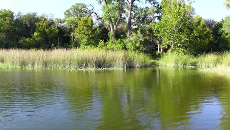 This-is-a-static-video-of-Cedar-Lake-in-Cleburne-State-Park