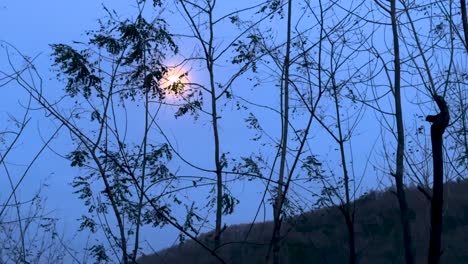 Mondlicht-über-Dem-Dunklen-Wald-In-Der-Nördlichen-Region-Des-Iran,-Klima,-Das-Ländliche-Dorf,-Die-Landschaft,-Die-Einheimischen,-Das-Leben-In-Der-Natur,-Die-Natürliche-Hyrkanische-Landschaft-Im-Iran,-Das-Leben-In-Den-Bergen-Im-Hochland,-Dunstiger-Tag,-Nebel