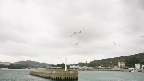 Reveal-of-Toba-Bay-on-Cloudy-Day,-Gulls-flying-in-Harbor-before-Storm-in-Japan