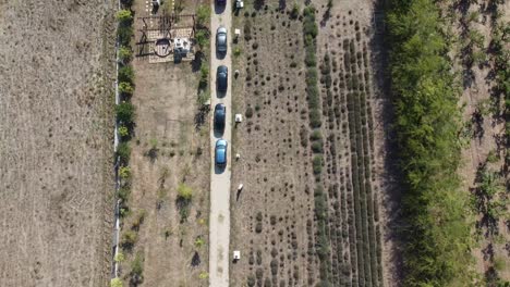 aerial-shot-of-a-farm-in-the-middle-of-the-farmland-with-parked-cars