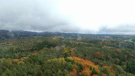Foggy-Landscape-With-Colorful-Trees-In-Autumn---Aerial-Drone-Shot