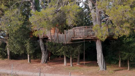 scenic-shot-of-tree-house-accommodation-with-walk-bridge-in-the-forest