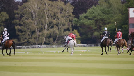 Polo-player-on-grey-horse-hits-the-ball-with-his-mallet-at-a-canter