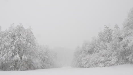 Verschneiter-Waldhorizont:-Wintertag-Mit-Fallendem-Schnee