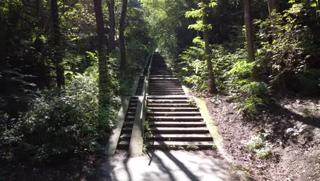 walk-out-from-endless-long-concrete-stairs-in-city-forest-and-onto-a-small-road
