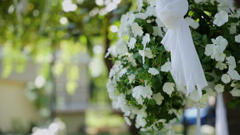 Weiße-Petunienblume,-Dekoriert-Für-Die-Hochzeitszeremonie