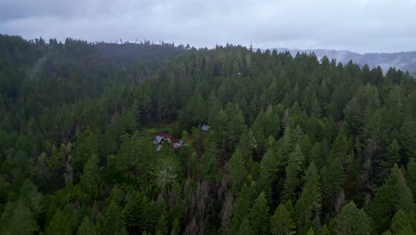 Waldunterkunft-Inmitten-Von-Mammutbäumen-Im-Muir-Woods-National-Monument-Im-Marin-County,-Kalifornien