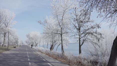 Empty-Road-During-Winter-Pass-On-Frozen-Trees-In-Galati,-Romania