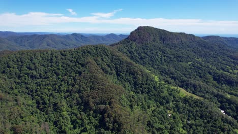 Thick-Green-Rainforest-Of-Currumbin-Valley-In-Queensland,-Australia---Aerial-Shot