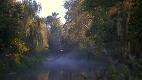 Stimmungsvoller-Nebel-über-Dem-Fluss-Bei-Sonnenuntergang-Mit-Langem-Gras-Und-Weidenbäumen-Am-Flussufer