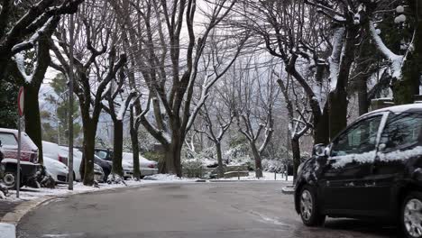 Trees-under-snow-on-the-streets-of-Guardiagrele-as-a-car-drives-by,-Abruzzo,-Italy
