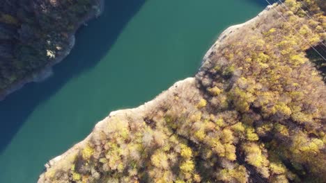 Wunderschöne-Luftaufnahme-Eines-Baches-Mit-Kristallklarem-Wasser,-Umgeben-Von-Pinien-Und-Bäumen