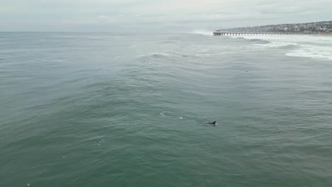 Breathtaking-aerial-shot-surfer-taking-advantage-of-the-low-tide-and-powerful-waves-at-Manhattan-Beach-on-a-overcast-day