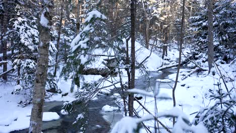 Wide-angle-view-of-icy-stream-with-flowing-water-and-snow-covered-white-trees-in-foreground,-slow-motion