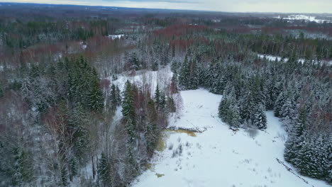 Aerial-view-of-frozen-winter-forest-wonderland-landscape