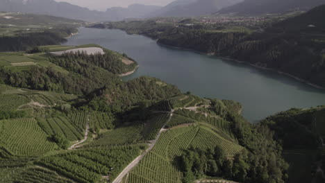 Drohnenschuss,-Der-An-Einem-Bewölkten-Tag-über-Den-Lago-Di-Santa-Giustina-In-Der-Nähe-Von-Trentino-In-Italien-Fliegt,-Mit-Bergen-Und-Wasser,-Umgeben-Von-Grünen-Feldern-Und-Baumstämmen