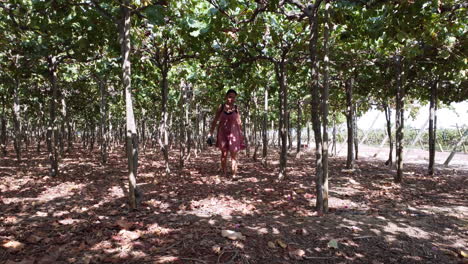 Caucasian-woman-walking-through-vineyard-plantation-in-Peru,-slow-motion