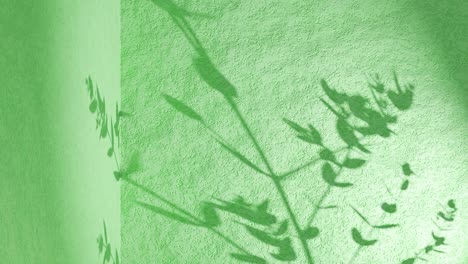 Plant-leaf-shadow-on-green-corner-wall-gently-move-from-breeze-wind-animation