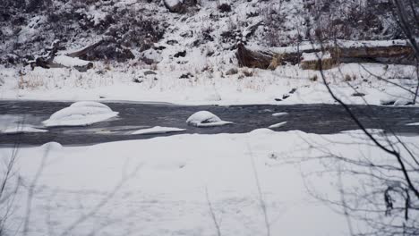 Agua-De-Arroyo-Y-Campos-Nevados-En-Bosques-De-Colorado-Estados-Unidos-En-El-Frío-Día-De-Invierno