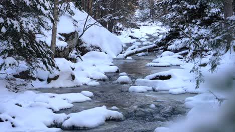 Icy-stream-flows-in-slow-motion-as-snow-covers-rocky-hillslope-and-evergreen-trees