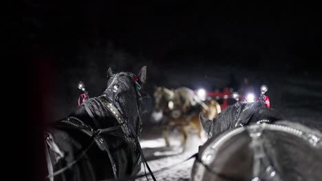 Carriages-With-Horses-on-Cold-Winter-Night,-Slow-Motion