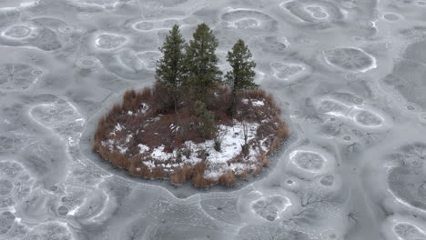 Nature's-Sculpture:-Frozen-Canvas---McQueen-Lake-and-Lobely-Island