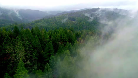 -Aerial-view-over-foggy-forest-in-the-mountains-of-Muir-Woods-National-Monument,-in-USA