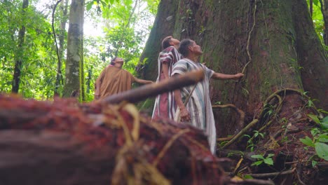 Indigenous-people-in-traditional-attire-admiring-giant-tree-in-Peruvian-forest