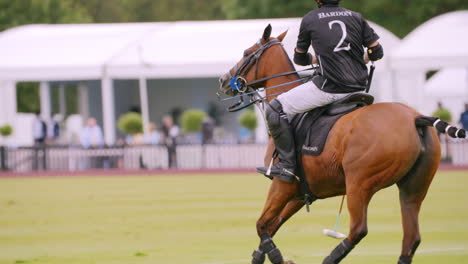 Polo-player-in-black-shirt-canters-along-a-green-field-on-a-chestnut-horse