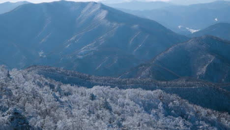 Winter-Snowcapped-Balwangsan-Mountain-Frozen-Forest-in-Daegwallyeong-Mountains-Chain-Valley-in-Pyeongchang-gun,-Gangwon-do,-South-Korea---aerial-pan