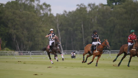 Two-polo-players-race-each-other-to-get-to-the-ball-whilst-chased-by-the-referee