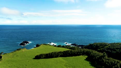 Aerial-establishing-shot-of-wilderness-Coastline-from-Maui-Island,-green-meadow-by-pacific-Ocean
