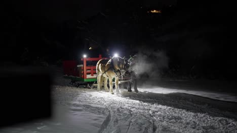 Pferde-Und-Kutsche-Im-Schnee-In-Einer-Kalten-Winternacht,-Zeitlupe