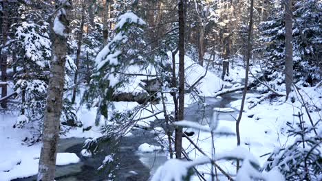 Wide-angle-view-of-icy-stream-flows-calmly-with-white-trees-in-foreground